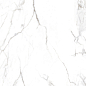 AB1200G Statuario Metrix Gloss 600x600 Absolut Gres