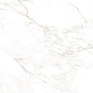 NTT99526M Marble Extra Endless 60x120 NT Ceramic