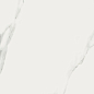 Bianco Statuario JW01 Luc Ret 60x60 Mirage