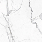 Eco Marble 6291 Polished 60x120 Alpas Euro