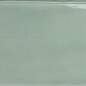 124927 SAGE GLOSS 7,5x30 WOW