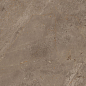 914 Luish Brown 120x60 Artcer