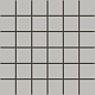 TDM06003 TAURUS COLOR 30x30 RAKO