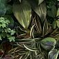 4100152 Jane B 50x100 41ZERO42