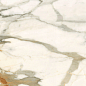 6060CBO55P Calacatta Borghini 60x60 LCM