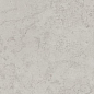 DD506420R Серый светлый натуральный обрезной 60х119,5 Kerama Marazzi