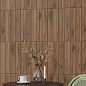 Carrizo Grey Elewacja Struktura Stripes Mix Mat 40x6,6 Paradyz