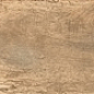 WOODLAND ARDEN Wild 30x240 Cotto D’Este