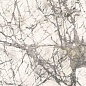 L315485MF6 Calacatta Grey Luc 150x300 IRIS FMG