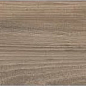 AB 1065W Barma Teak 1200x200 Absolut Gres
