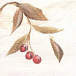 25.8(220) Декор Oliva 4 из 1 плитки 10x10 Factoria