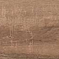 Maple Wood Matt 20x120 ITC