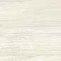 FI 10 Plus Bianco 20х80 Del Conca