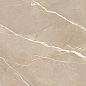 60120ESE21P Essential Marron полированный 600x1200x7 New Trend