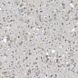 Flax Carving 60x120 Mega Tile