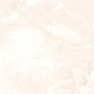 509021201 Opale Crema 31,5x63 Azori