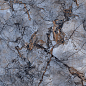 P 2135 Calcolo Dark Blue 60x120 NB Ceramic