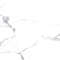 Megnus Statuario Glossy 60x120 Modern Tile