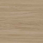 Alessandria Arce 19.5x120 Prissmacer