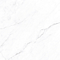 CP4003-A Coralina White Carving Pro 60x120 Arcadia Ceramica