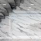 Venezia Azario фото в миниатюре