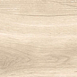 Dixie Almond 20x120 Geotiles