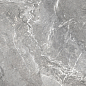 D60260M Wild Dark матовый 600x600x9.5 New Trend