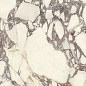PL612671 Calacatta Viola Luc 60x120 Ariostea