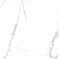 Statuario Brown Glossy 60x120 Modern Tile