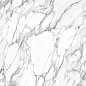 010400001220 Platinum white белый PG 01 60х120 Gracia Ceramica