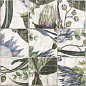 DECOR PROTEA 20x20 Mainzu