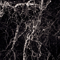 Mediceo Black Glossy 60x120 Modern Tile