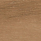 Bremen Sherwood 10x60 Ribesalbes