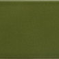 25827 Arrow Green Kelp 5x25 EQUIPE