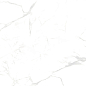 NTT99607M Callacata carving 60x120 NT Ceramic