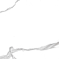 GT60608303MR Anima Белый 60x60 Global Tile