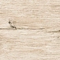 LM 0006 LAMINA 60х15 Eurotile Ceramica