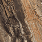 GR104 Richter Brown High glossy 600x600 PrimaVera