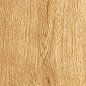 1064 Parma Honey Mate 120x20 Artcer