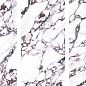 Bulgary Satin 60x120 Staro фото в миниатюре 2