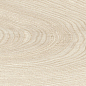 39247 Grow Maple SP/24X151X0,9/R 24x151 Peronda фото в миниатюре 22
