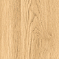 1108 Modena Honey Mate 120x20 Artcer
