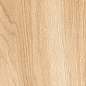 1056 Torino Honey Mate 120x20 Artcer