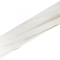 620070002593 Stellaris Carrara Ivory Scalino Frontale 33x120 Italon