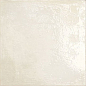 PT03094 Maiolica Bianco 20x20 Mainzu