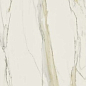 750675 Calacatta Gold Open Book B Glossy 6mm 160x320 Rex Ceramiche