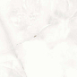 Floria Onyx Silver Polished 60x120 A-Ceramica