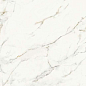 286HM5P Calacatta Oro Lev Ret 120x280 NuovoCorso