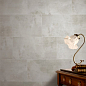 Maxstone Silver Mat 60x120 Realistik