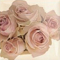 Decor Cuore 20x20 mix Mainzu